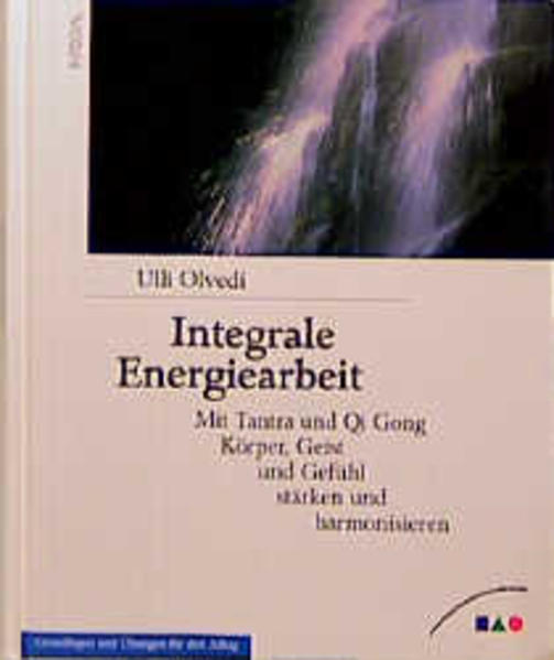 Integrale Energiearbeit