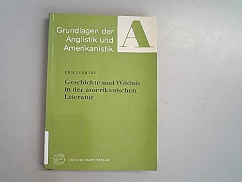 Geschichte und Wildnis in der amerikanischen Literatur