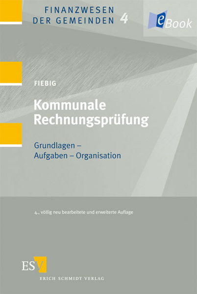Kommunale Rechnungsprüfung