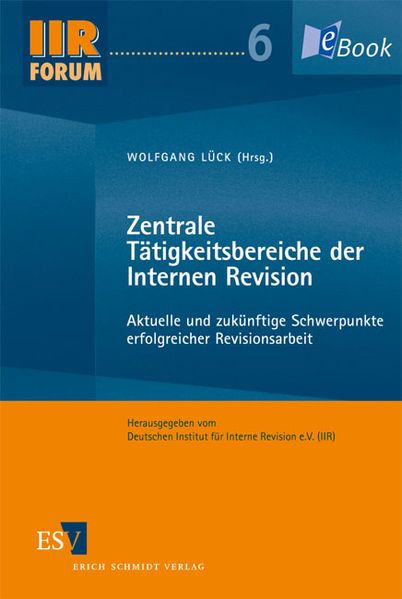 Zentrale Tätigkeitsbereiche der Internen Revision