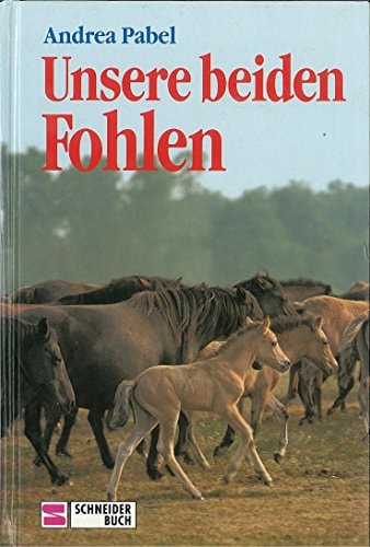 Unsere beiden Fohlen