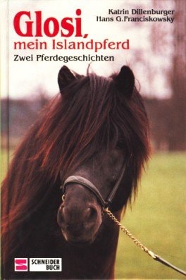 Glosi, mein Islandpferd