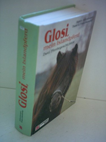 Glosi, mein Islandpferd