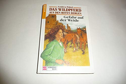 Das Wildpferd aus den roten Bergen / Reiten in den Morgen