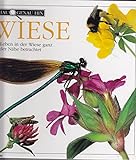Schau genau hin / Wiese