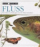 Schau genau hin / Fluss