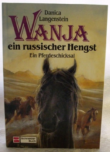 Wanja ein russischer Hengst