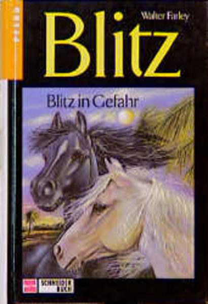 Blitz in Gefahr