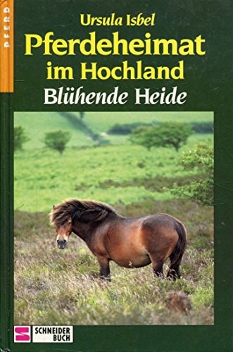 Pferdeheimat im Hochland / Blühende Heide