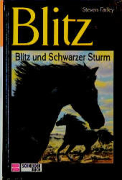 Blitz und schwarzer Sturm
