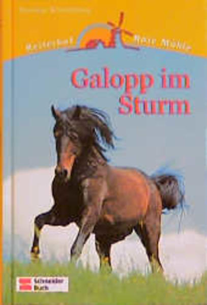 Reiterhof Rote Mühle / Galopp im Sturm