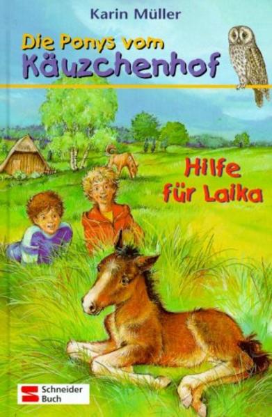 Die Ponys vom Käuzchenhof