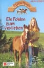 Paulas Pferde / Ein Fohlen zum Verlieben