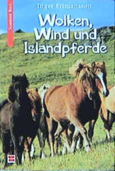 Wolken, Wind und Islandpferde