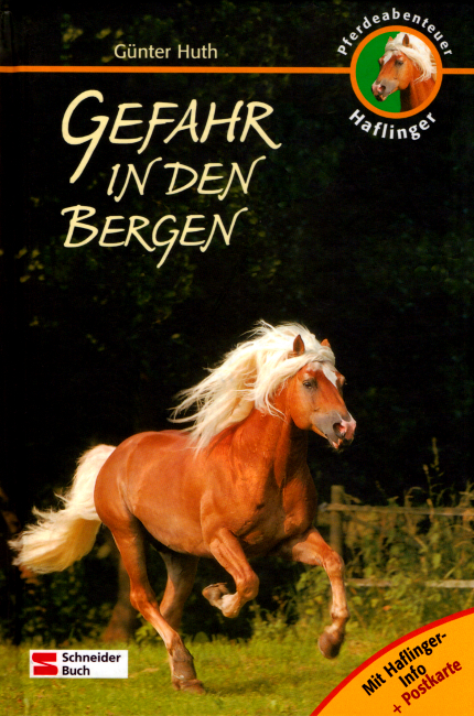 Pferdeabenteuer - Haflinger