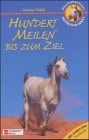 Pferdeabenteuer - Vollblutaraber