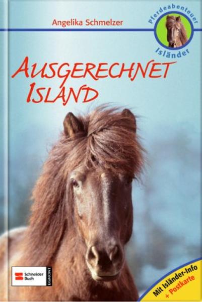 Pferdeabenteuer Isländer