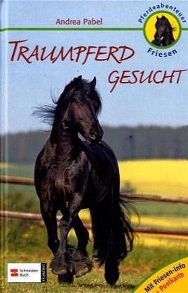 Pferdeabenteuer Friesen