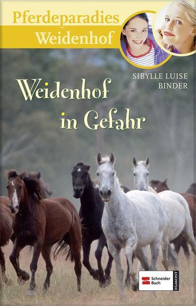 Pferdeparadies Weidenhof, Band 12