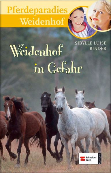 Pferdeparadies Weidenhof, Band 12