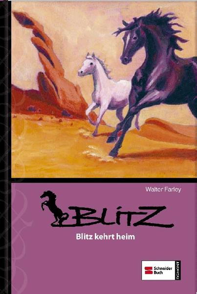 Blitz, Band 02