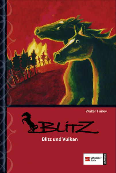 Blitz, Band 04