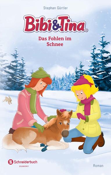 Bibi & Tina - Das Fohlen im Schnee