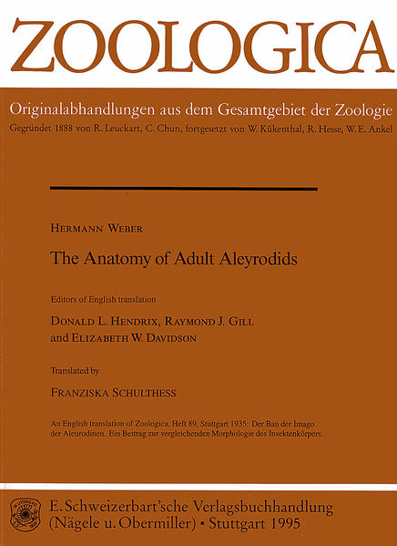 The Anatomy of Adult Aleyrodids