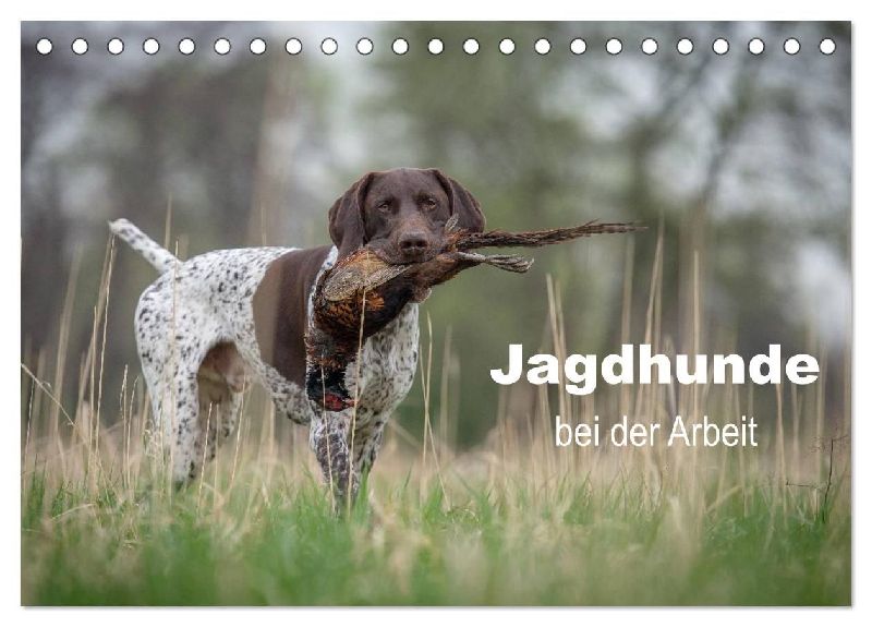 Jagdhunde bei der Arbeit (Tischkalender 2026 DIN A5 quer), CALVENDO Monatskalender
