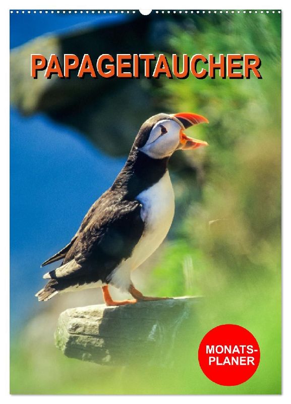Papageitaucher Monatsplaner (Wandkalender 2026 DIN A2 hoch), CALVENDO Monatskalender