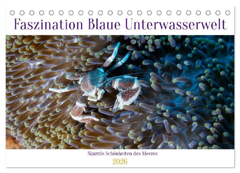 Faszination blaue Unterwasserwelt (Tischkalender 2026 DIN A5 quer), CALVENDO Monatskalender