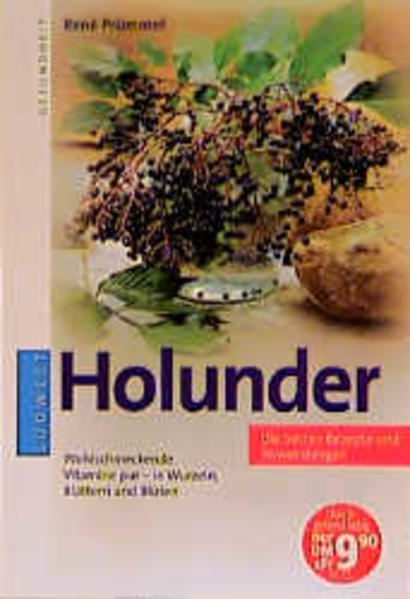 Holunder