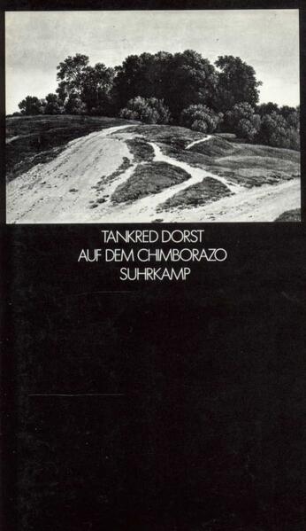 Auf dem Chimborazo