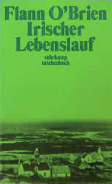 Irischer Lebenslauf