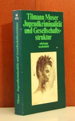 Jugendkriminalität und Gesellschaftsstruktur