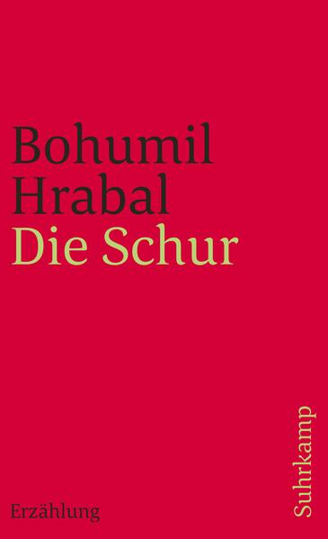 Die Schur
