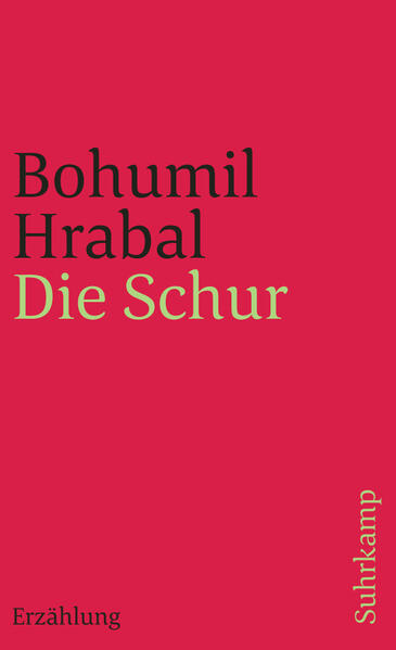 Die Schur