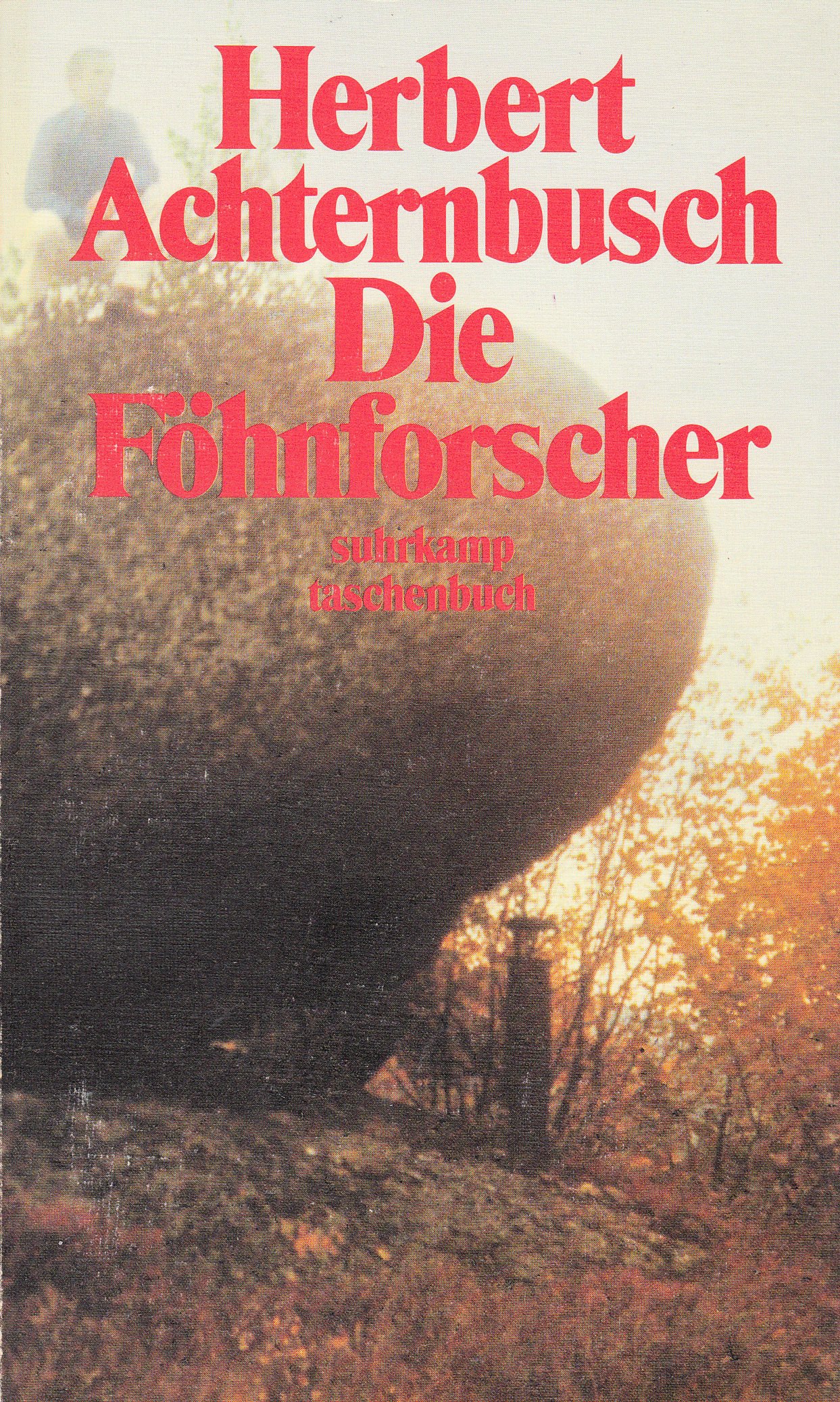 Die Föhnforscher. Du hast keine Chance aber nutze sie. 6