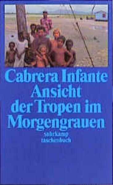 Ansicht der Tropen im Morgengrauen