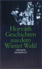 Gesammelte Werke. Kommentierte Werkausgabe in 14 Bänden in Kassette