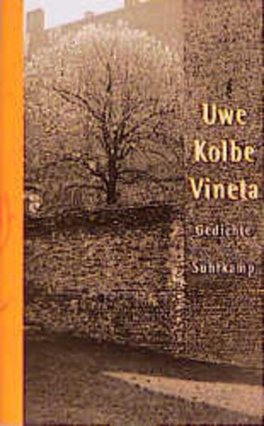 Vineta