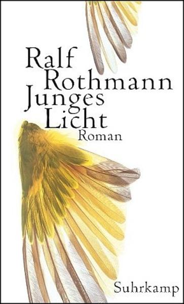 Junges Licht