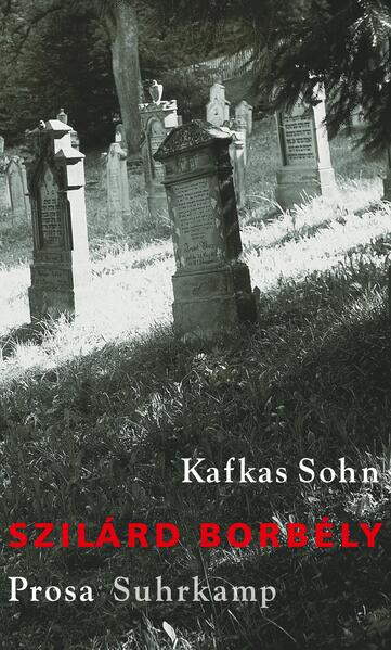 Kafkas Sohn