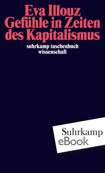 Gefühle in Zeiten des Kapitalismus