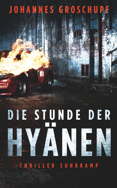 Die Stunde der Hyänen − Thriller (Berlin Noir 3)