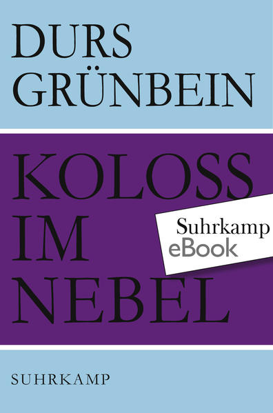 Koloß im Nebel