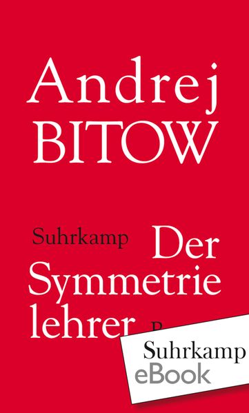 Der Symmetrielehrer