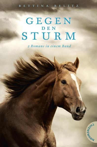 Gegen den Sturm