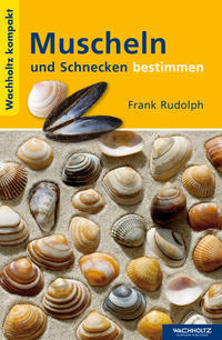 Muscheln und Schnecken bestimmen
