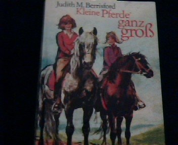 Kleine Pferde ganz groß - bk1635
